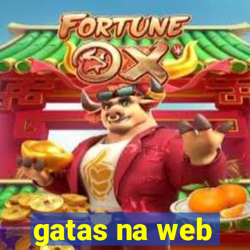 gatas na web